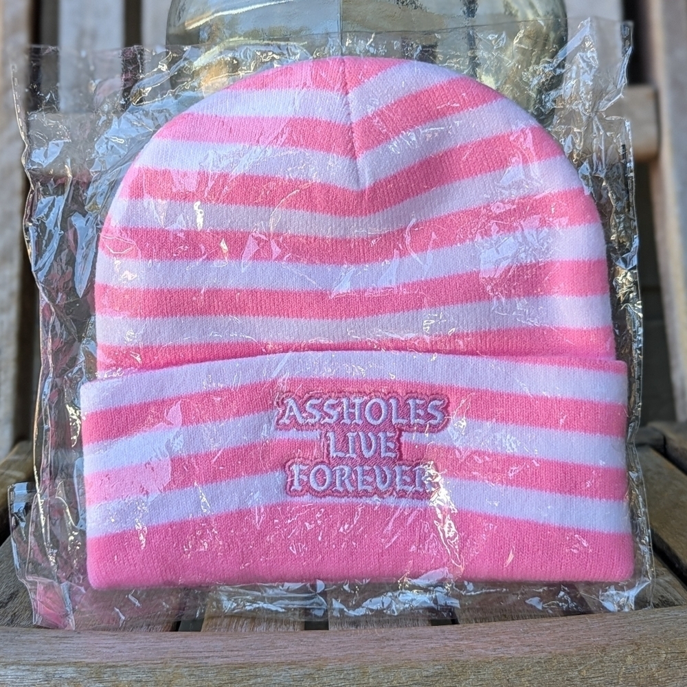 NWT Assholes Live Forever Embroidered Pink White Stripe Beanie Hat Toque